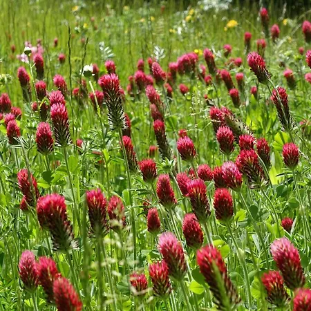 아파트 Im Kieler Sueden