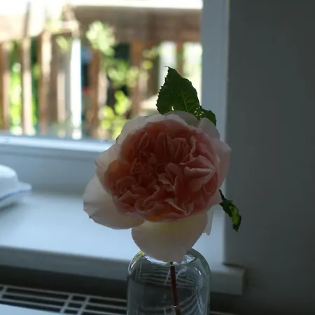 Im Kieler Sueden * 킬