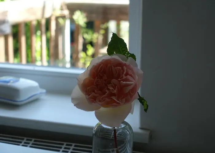 Im Kieler Sueden * Kilonia